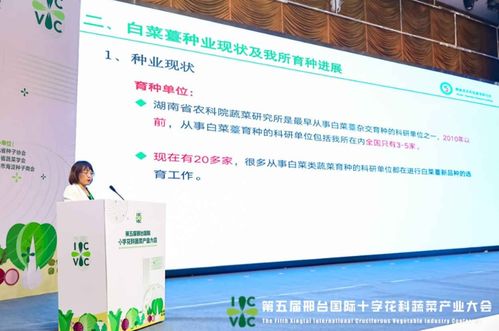 小種子撬動大產業(yè)——第五屆邢臺國際十字花科蔬菜產業(yè)大會啟帷